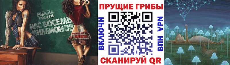 Галлюциногенные грибы прущие грибы  Белозерск 